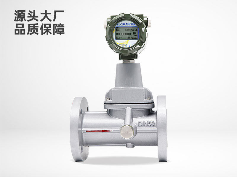 旋進(jìn)旋渦流量計(jì)