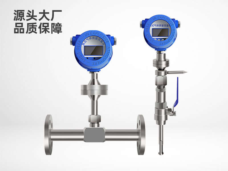 熱式氣體質量流量計